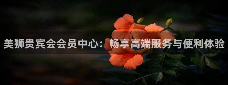 狗子28股份：美狮贵宾会会员中心：畅享高端服务与便利体验