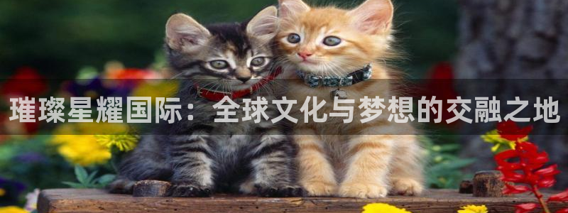狗子28平台招商：璀璨星耀国际：全球文化与梦想的交融之地