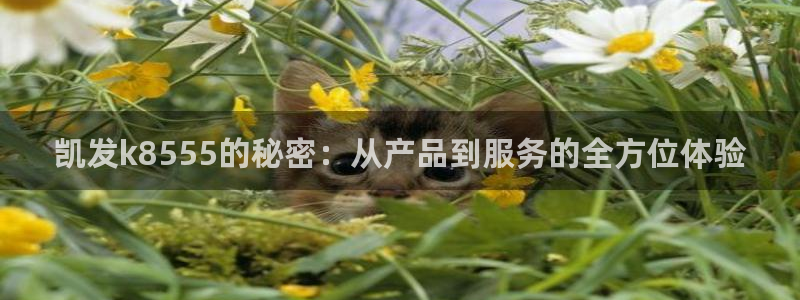 狗子28注册：凯发k8555的秘密：从产品到服务的全方位体验