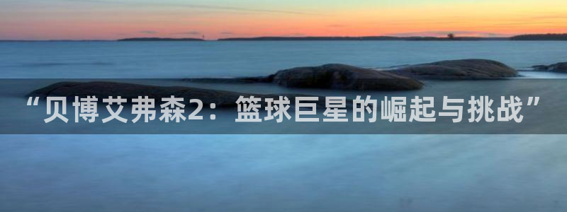 狗子28体育和杏耀是哪个公司的：“贝博艾弗森2：篮球巨星的崛起与挑战”