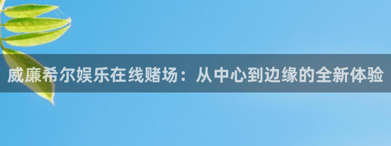 狗子28平台招商：威廉希尔娱乐在线赌场：从中心到边缘的全新体验