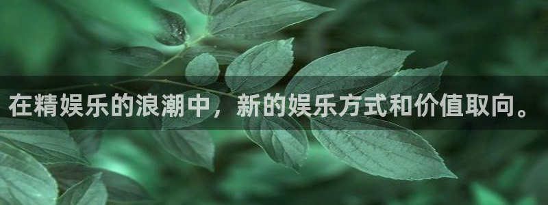狗子28体育热门赛事有哪些：在精娱乐的浪潮中，新的娱乐方式和价值取向。