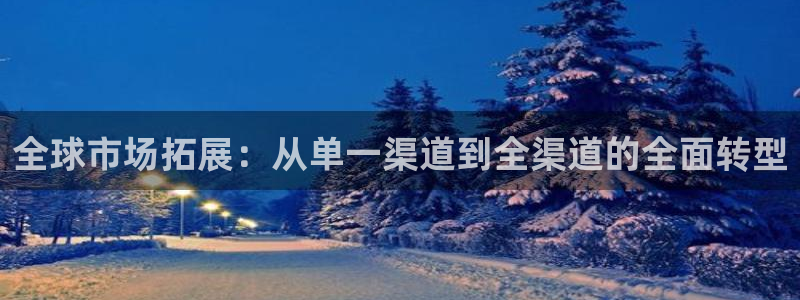 福建狗子28机电股份公司：全球市场拓展：从单一渠道到全渠道的全面转型