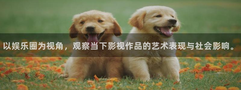 狗子28：以娱乐圈为视角，观察当下影视作品的艺术表现与社会影响。