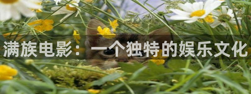 狗子28体育2官网入口