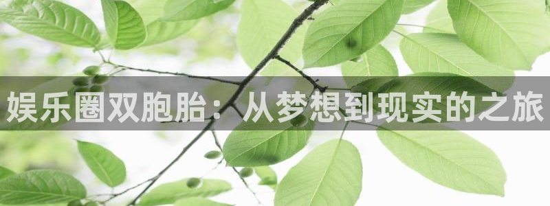 www.狗子28体育.com