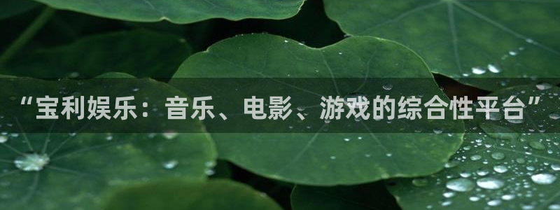 狗子283注册：“宝利娱乐：音乐、电影、游戏的综合性平台”