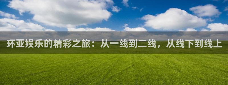 狗子28平台招商：环亚娱乐的精彩之旅：从一线到二线，从线下到线上