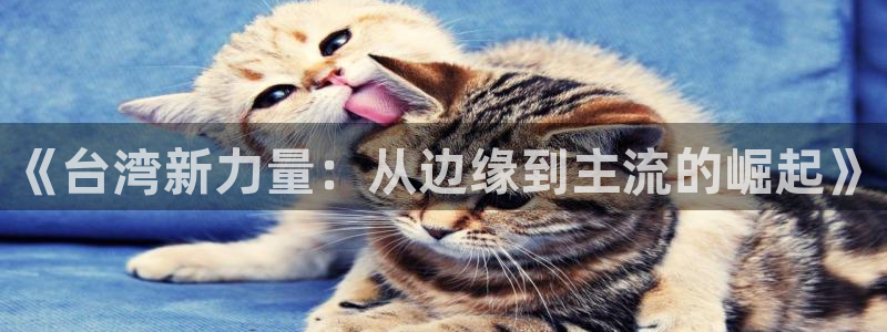 狗子282体育登录入口：《台湾新力量：从边缘到主流的崛起》