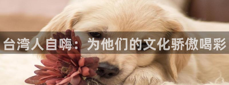 狗子28体育官网登录：台湾人自嗨：为他们的文化骄傲喝彩