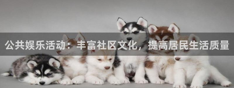 狗子282登录地址：公共娱乐活动：丰富社区文化，提高居民生活质量