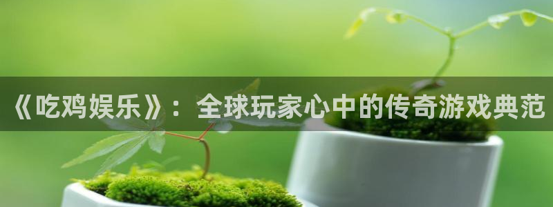 狗子28体育2：《吃鸡娱乐》：全球玩家心中的传奇游戏典范