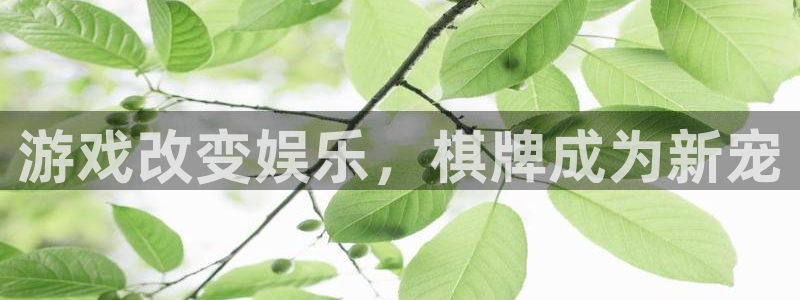狗子28体育用品：游戏改变娱乐，棋牌成为新宠