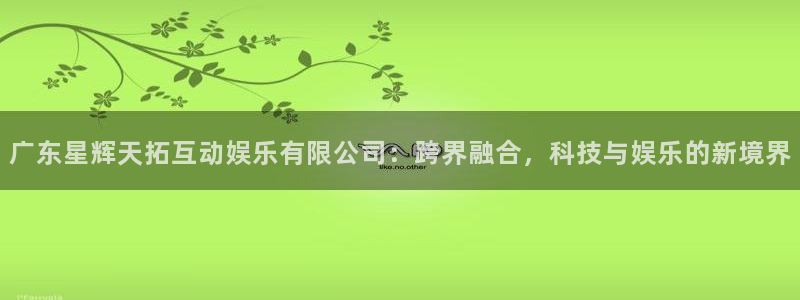 狗子28平台注册：广东星辉天拓互动娱乐有限公司：跨界融合，科技与娱乐的新境界