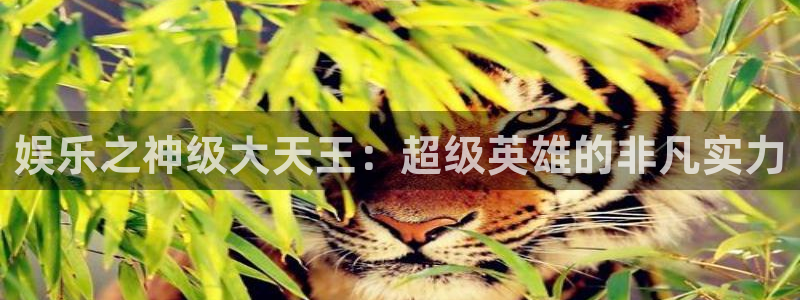 狗子28体育娱乐注册链接：娱乐之神级大天王：超级英雄的非凡实力
