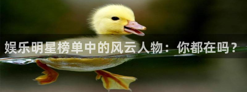 狗子284开户：娱乐明星榜单中的风云人物：你都在吗？