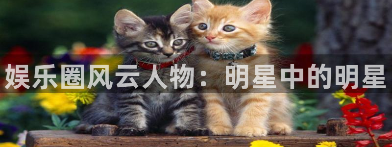 上海狗子28汽车电子有限公司：娱乐圈风云人物：明星中的明星