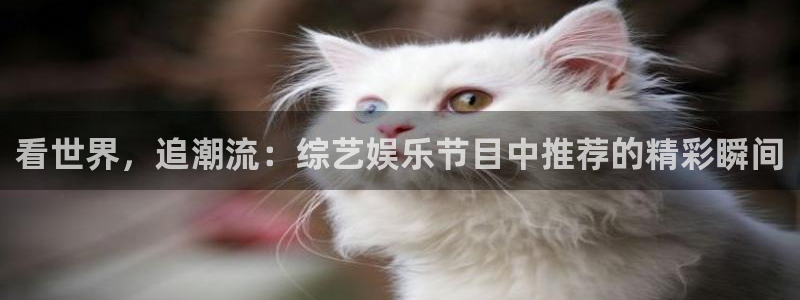 狗子28体育凯捷平台注册：看世界，追潮流：综艺娱乐节目中推荐的精彩瞬间