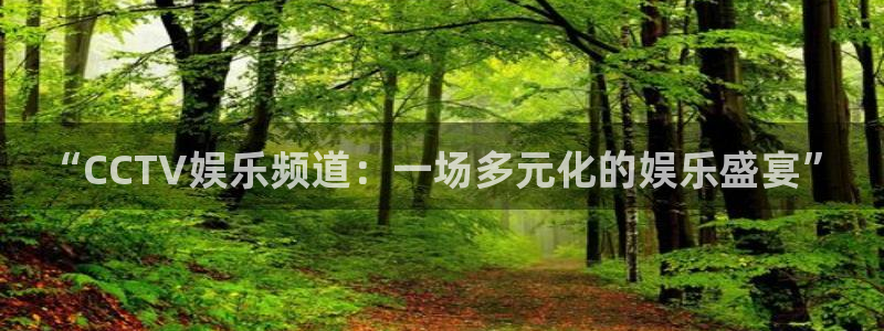 狗子28体育注册平台：“CCTV娱乐频道：一场多元化的娱乐盛宴”