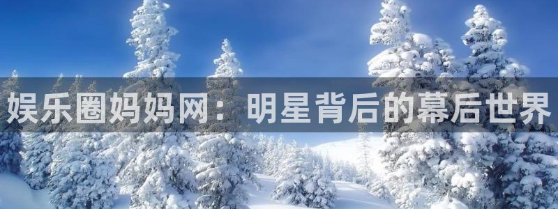 狗子28登录：娱乐圈妈妈网：明星背后的幕后世界