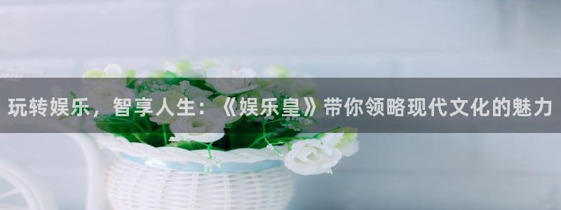 狗子28登录界面入口：玩转娱乐，智享人生：《娱乐皇》带你领略现代文化的魅力