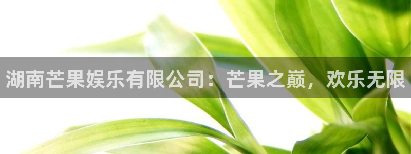 狗子28注册：湖南芒果娱乐有限公司：芒果之巅，欢乐无限